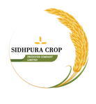 Sidhpura Crop Producer Company Limited