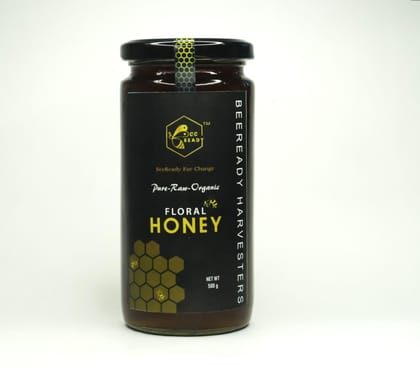 Beeready Multi Flora Honey, Unprocessed Honey, Pure and Raw Immunity Booster, Natural Forest Source(500g)