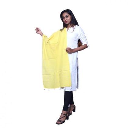 Handembroided Yellow Stole