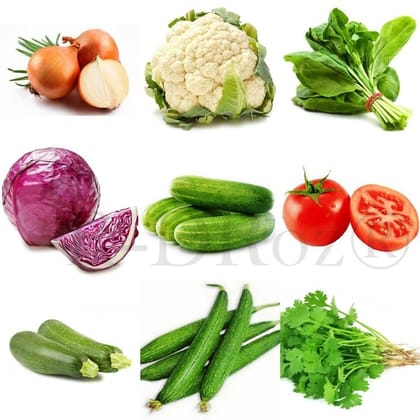 Combo of 9 Vegetables Seeds - Onion Waran, Cucumber, Coriander, Zucchini, Cauliflower, Spinach Palak, Sponge Gourd, Tomato, Cabbage Red MC6.2