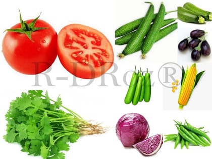 Combo of 9 Vegetables Seeds - Tomato, Coriander, Sponge Gourd, Bottle Gourd, Cabbage Red, Zucchini, Brinjal Chuchu, Corn Maize, Chilly Green MC2.1