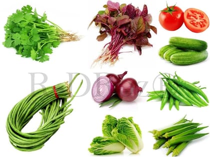 Combo of 9 Vegetables Seeds - Tomato, Onion Red, Napa Cabbage, Chilly Green, Lobia Cowpea, Cucumber, Coriander, Amaranthus Red, Okra Lady Fingers MC1.5