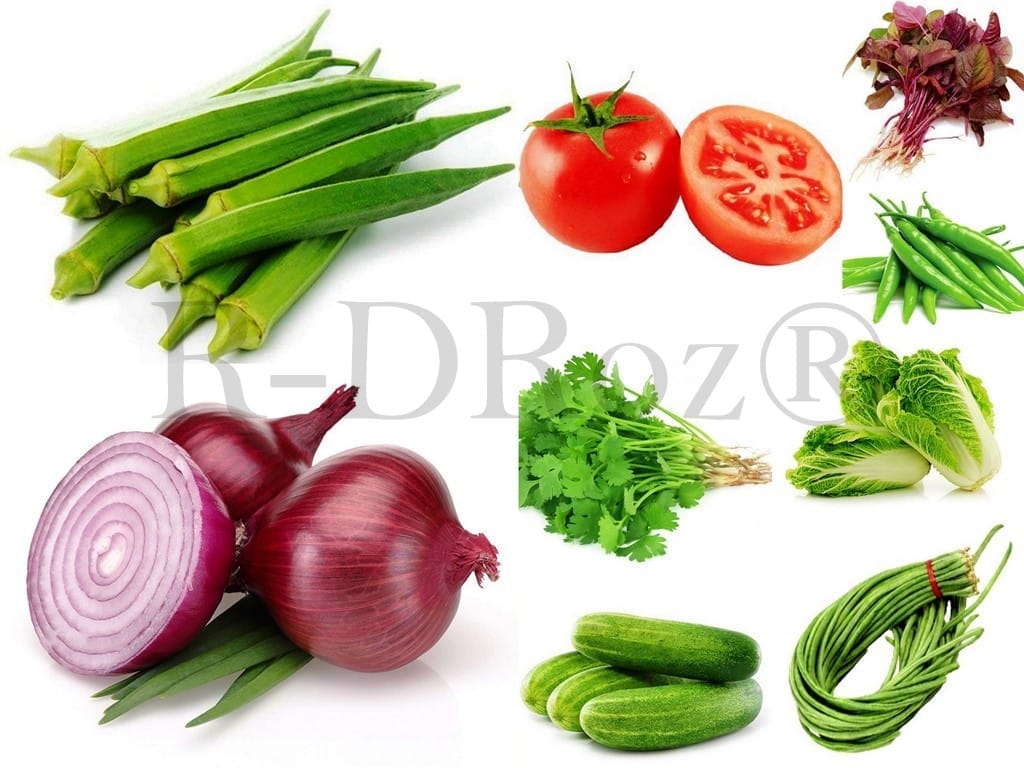 Combo of 9 Vegetables Seeds - Coriander, Amaranthus Red, Okra Lady Fingers, Tomato, Onion Red, Napa Cabbage, Chilly Green, Lobia Cowpea, Cucumber MC1.2