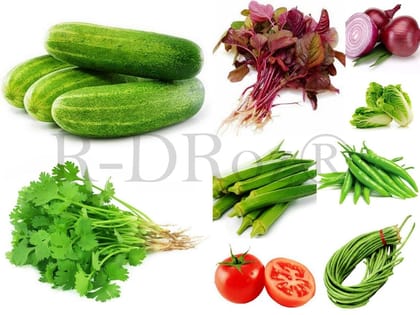 Combo of 9 Vegetables Seeds - Cucumber, Coriander, Amaranthus Red, Okra Lady Fingers, Tomato, Onion Red, Napa Cabbage, Chilly Green, Lobia Cowpea MC1.1