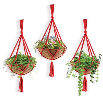 Garden Hanging Coir Pots for Plants - Set of 3