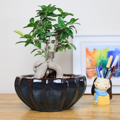 Ceramic Bonsai Planter (9 inches diameter)