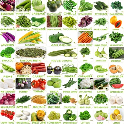 FLARE SEEDS No.1 Organic, Winter, Summer, Home Garden, Seeds Bank, Vegetable 60 Seeds Combo