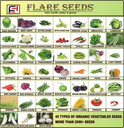 FLARE SEEDS 45 Varities of Vegetables Seeds 2500+ Seeds With Instruction Manual