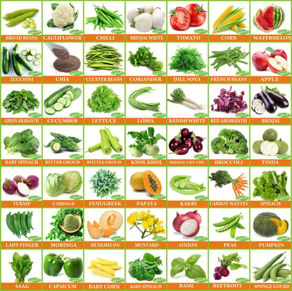 Vrisa Green Vegetable & Fruit Seeds Combo Home Garden Pack (Pack of 50)