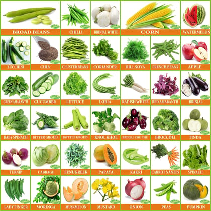Vrisa Green 40 Variety of Vegetables Seeds (2000+ Seeds)