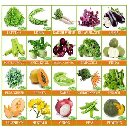 Vrisa Green 50 Varieties of Vegetable & Fruit Seeds Combo 3000+ Seeds With Instruction Manual