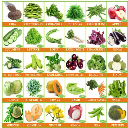 Vrisa Green 30 Varieties of Vegetable & Fruit Seeds For Kitchen Garden Seeds Combo