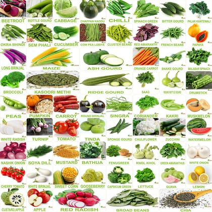 FLARE SEEDS No.1 Organic, Winter, Summer, Home Garden, Seeds Bank, Vegetable 65 Seeds Combo