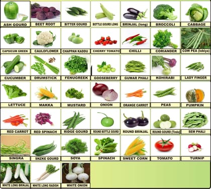FLARE SEEDS Vegetable Seeds Bank For Home Garden 45 Varieties - 2550+ Seeds