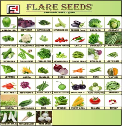 FLARE SEEDS Vegetables Seeds Combo For Home Garden 45 Varieties Indian Vegetable Organic Seeds 2500+ Seeds