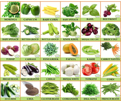 FLARE SEEDS 30 Varieties of Vegetable & Fruit Seeds For Kitchen Garden Seeds Combo