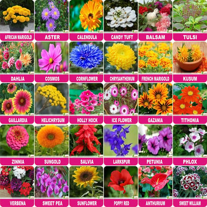 Flare Seeds Flower Seeds : Plant Seeds Outdoor Plants Combo Of 30 Packet Of Seeds Garden Flower Seeds Pack By Flare Seeds, Multicolour