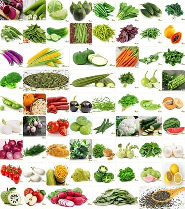 VRISA GREEN India's No.1 Vegetable Seeds, Winter, Summer, Home Garden, Seeds Bank, Organic 65 Seeds Combo