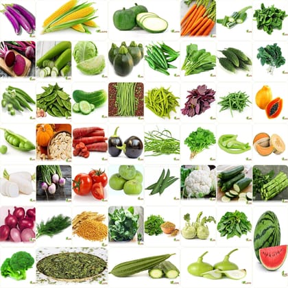 VRISA GREEN India's No.1 Vegetable Seeds, Winter, Summer, Home Garden, Seeds Bank, Organic 50 Seeds Combo