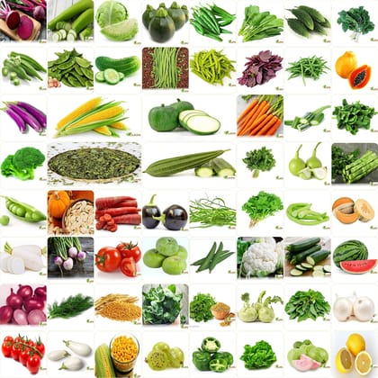 VRISA GREEN India's No.1 Vegetable Seeds, Winter, Summer, Home Garden, Seeds Bank, Organic 60 Seeds Combo