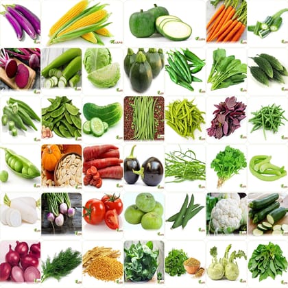 VRISA GREEN India's No.1 Vegetable Seeds, Winter, Summer, Home Garden, Seeds Bank, Organic 40 Seeds Combo