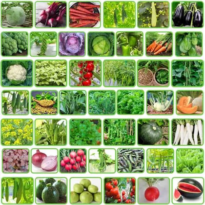 FLARE SEEDS 45 Variety of Vegetables Seeds Combo