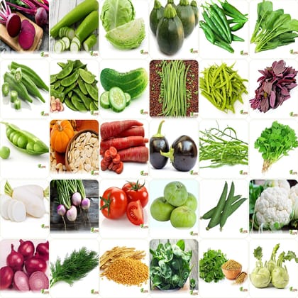 Vrisa Green Vegetables Seeds Bank For Home Garden 30 Varieties 1700+ Seeds