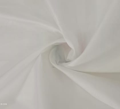 NVHSFW15 -White Handloom silk Fabric 2 Meters