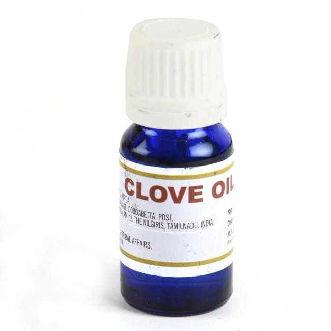 Clove Oil (10 Ml)