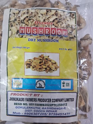 Dried Oyster Mushroom pack of 3
