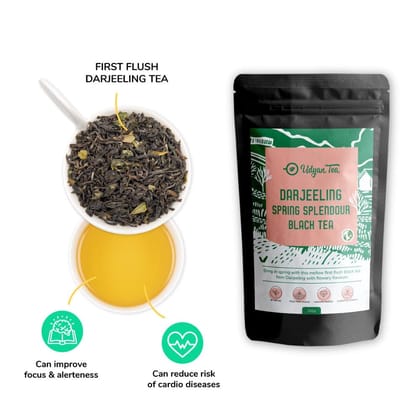 Udyan Tea Darjeeling Spring Splendour Black Tea | 100% Pure & Premium Loose Leaf Black Tea from the First Flush | Authentic Darjeeling Long Leaf Tea
