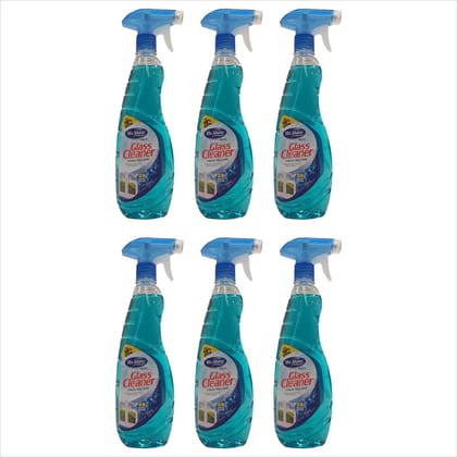 We Shine Glass and Surface Cleaner Liquid | Quickly Removes Grime & Dirt Glass Cleaners Liquid (750 ML.) (6)
