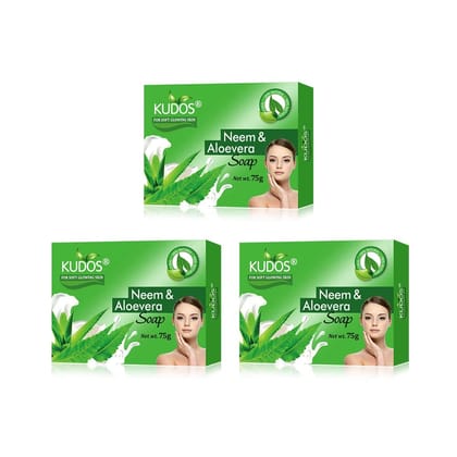 Kudos Best of Natural Ingredients, Antiseptic and Moisturising Bathing Soap with Aloe Vera, Neem, For Smooth, Soft & Nourished Skin (75gm)