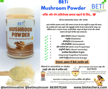 BETi Mushroom Powder (Natural Umami)