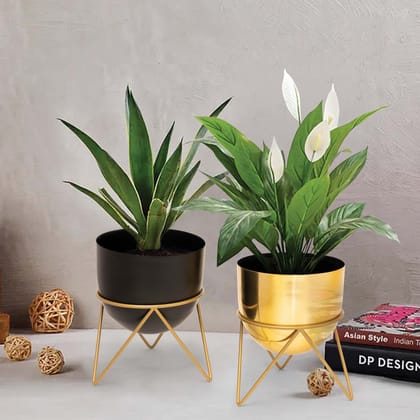 Metal Planters With Stand - Set of 2 (Golden and Black) | Big Pots for Plants