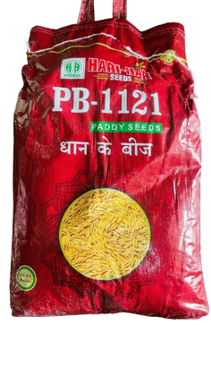 PB-1121 Paddy Seeds
