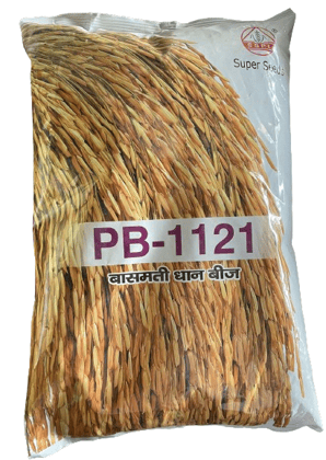 PB-1121 Paddy Seeds