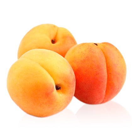 Kullu Manali Apricot
