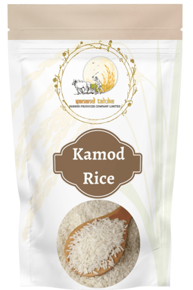 Kamod Rice
